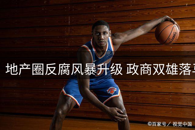 地产圈反腐风暴升级 政商双雄落马引发行业震荡