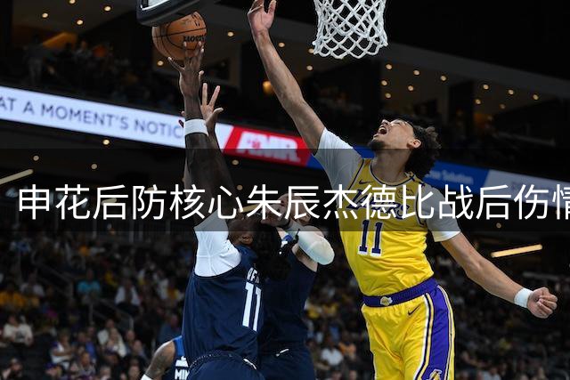申花后防核心朱辰杰德比战后伤情不明 周末客战辽宁成疑